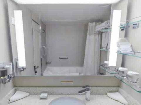 Holland America Vista Suite — bathroom