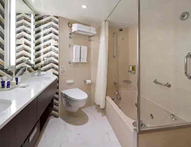 Holland America Neptune Suite — bathroom