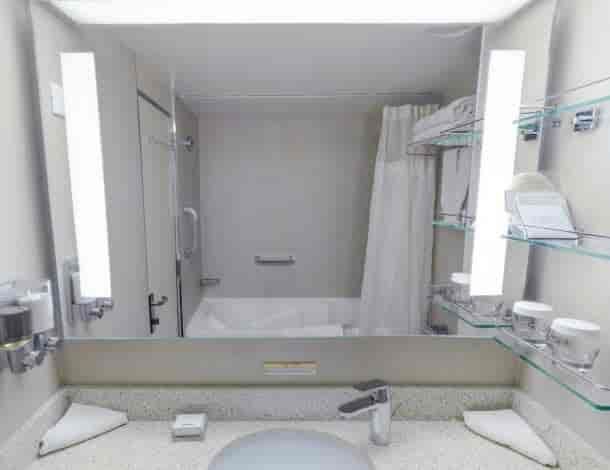 Holland America Vista Suite — bathroom