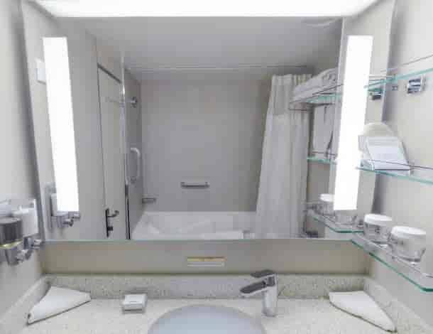 Holland America Vista Suite — bathroom