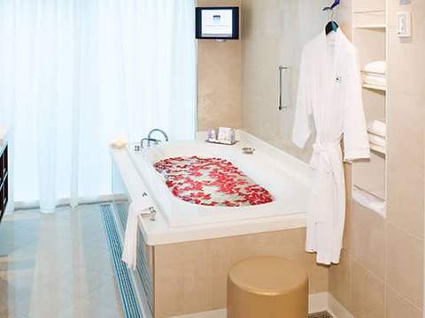 Luxurious bathroom