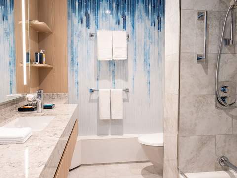 Icon of the Seas Junior Suite (JS) bathroom