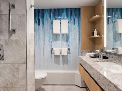 Icon of the Seas Sky Junior Suite (JY) bathroom