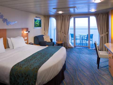 Oasis of the Seas Ocean View Balcony - Accessible (2D) cabin, photo 4 of 4
