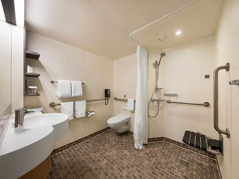 Spectrum of the Seas Ocean View (1N) bathroom