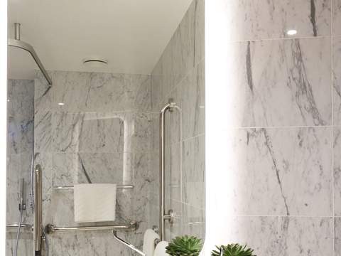 Virgin Voyages Seriously Suite - Accessible (SS) bathroom, photo 2 of 5