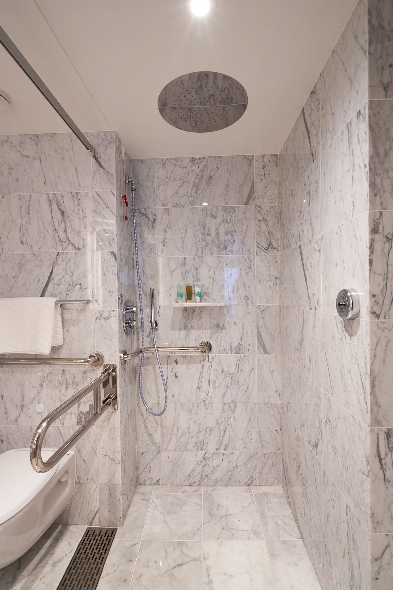 Virgin Voyages Seriously Suite - Accessible (SS) bathroom, photo 3 of 5