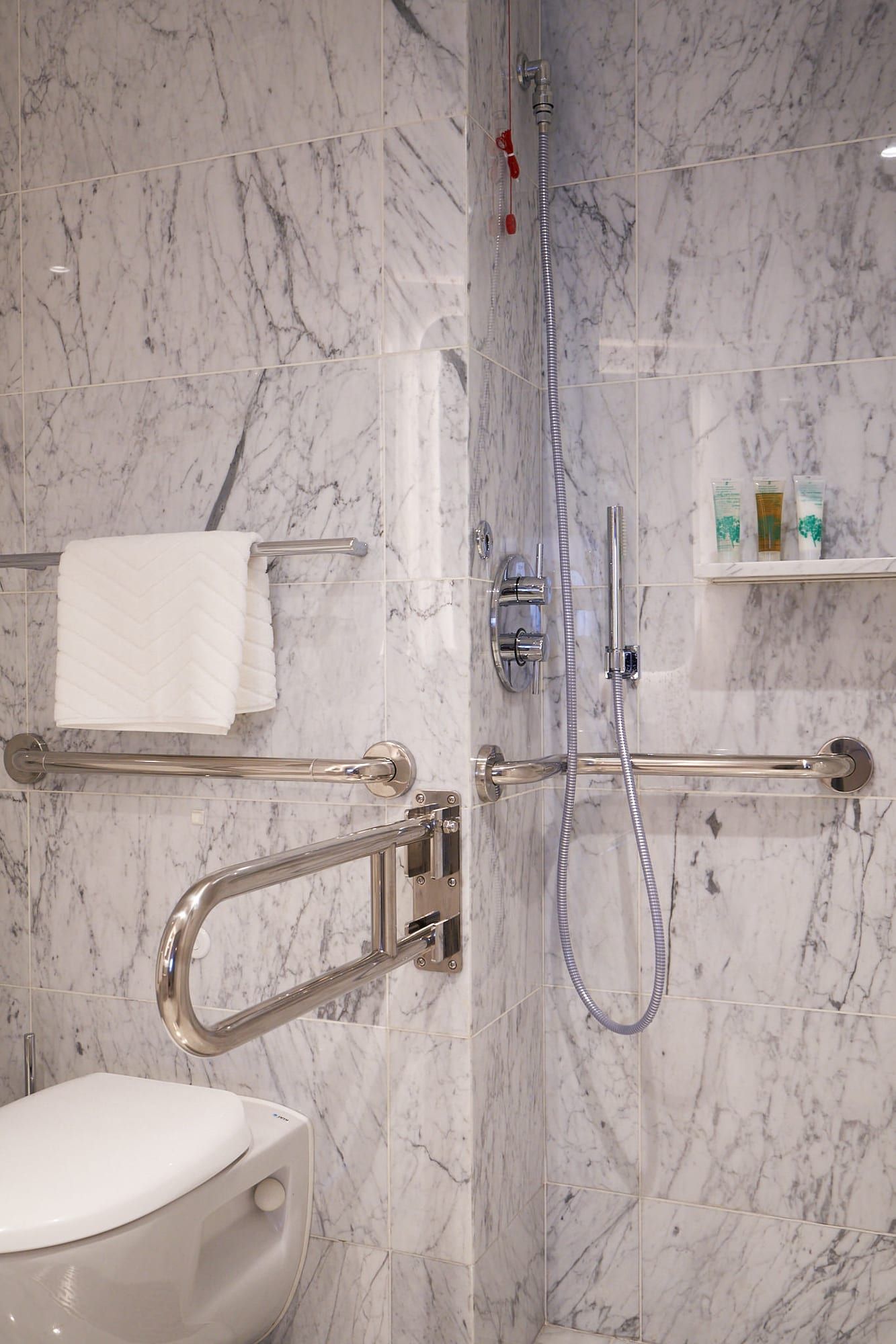 Virgin Voyages Seriously Suite - Accessible (SS) bathroom, photo 4 of 5