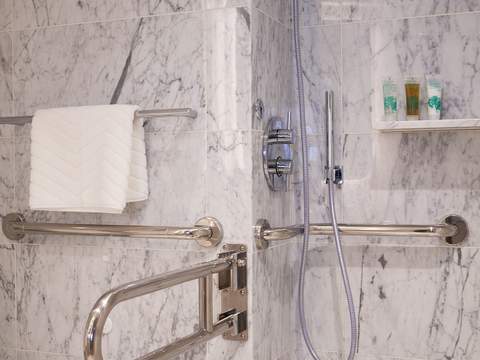 Virgin Voyages Seriously Suite - Accessible (SS) bathroom, photo 4 of 5