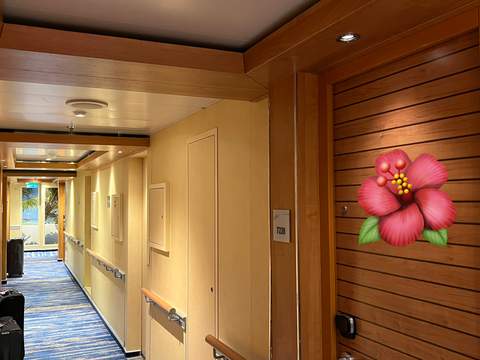 Guest photo of 4E cabin 7220