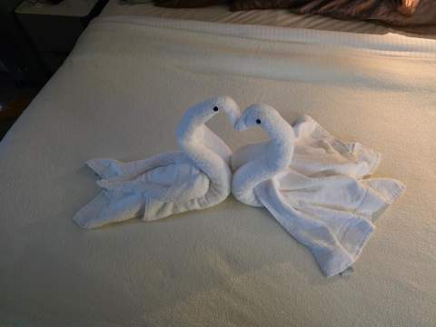 Guest photo of MA cabin 11876