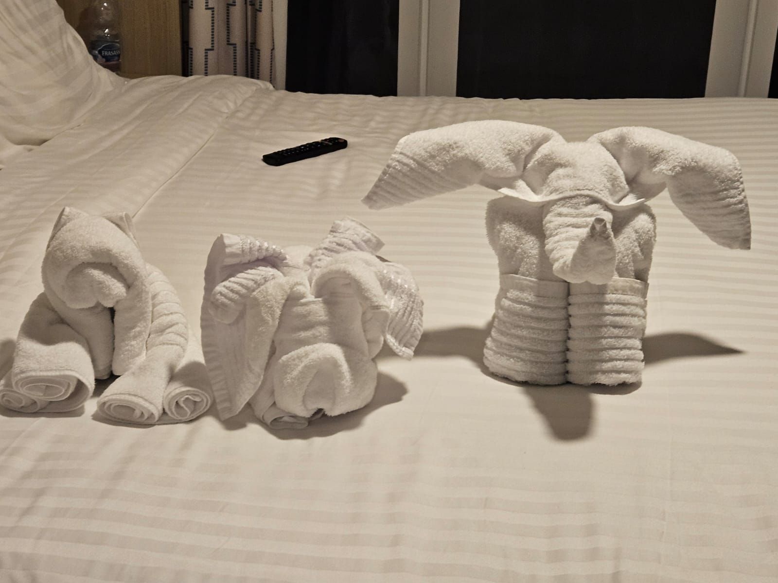 Photo 1 from CrazyTrident's review