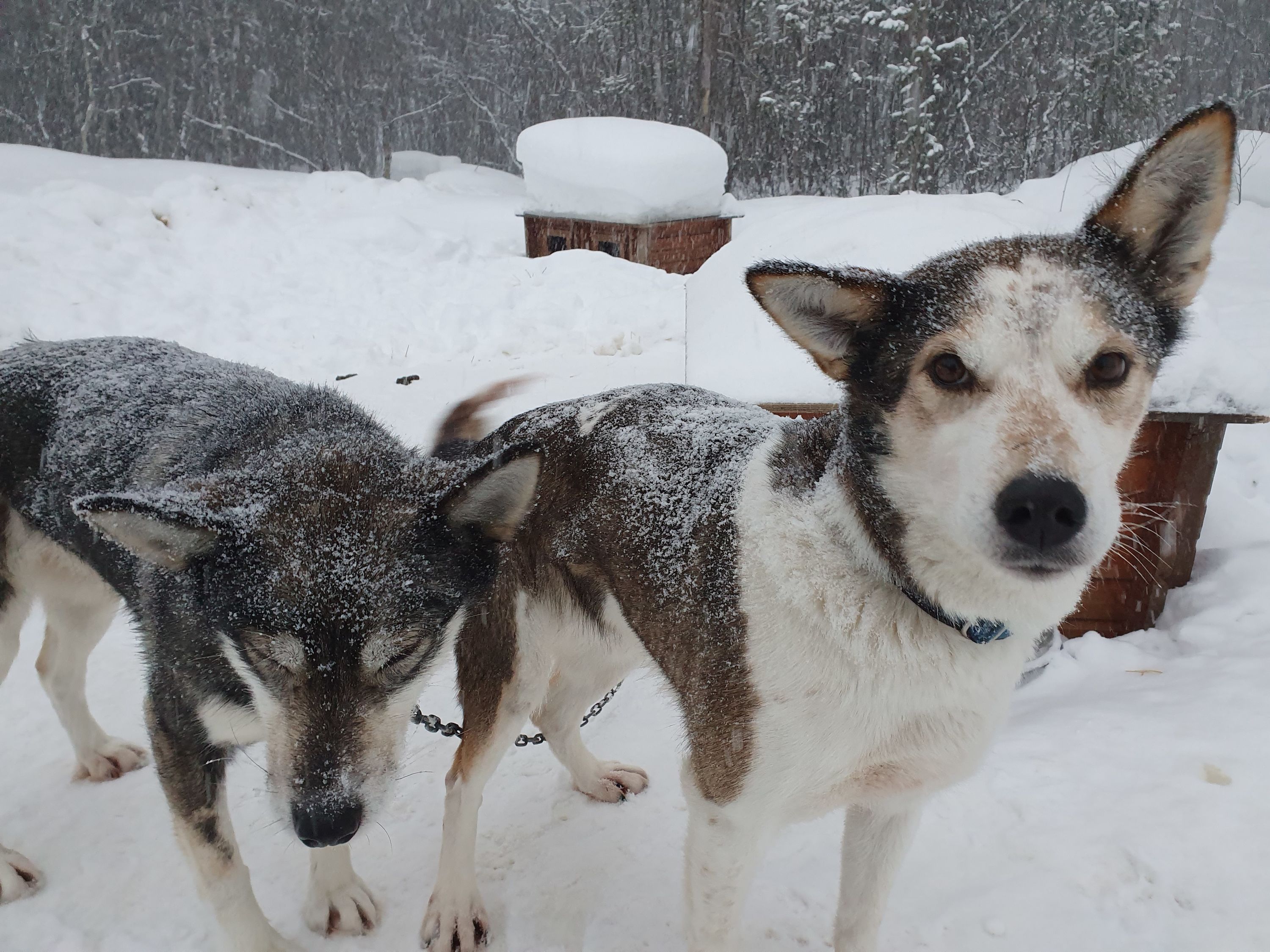 Alta Cruise Port - overhead view of the Alta itinerary stop located in the Europe - Northern Europe cruising region