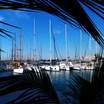 Arrecife