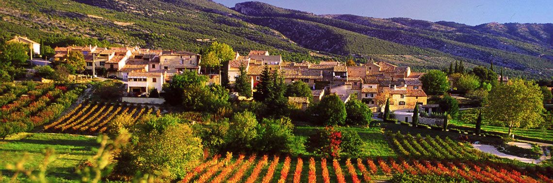 Avignon (Arles), France Image 1