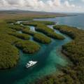 Black Turtle Cove, Santa Cruz, Galapagos