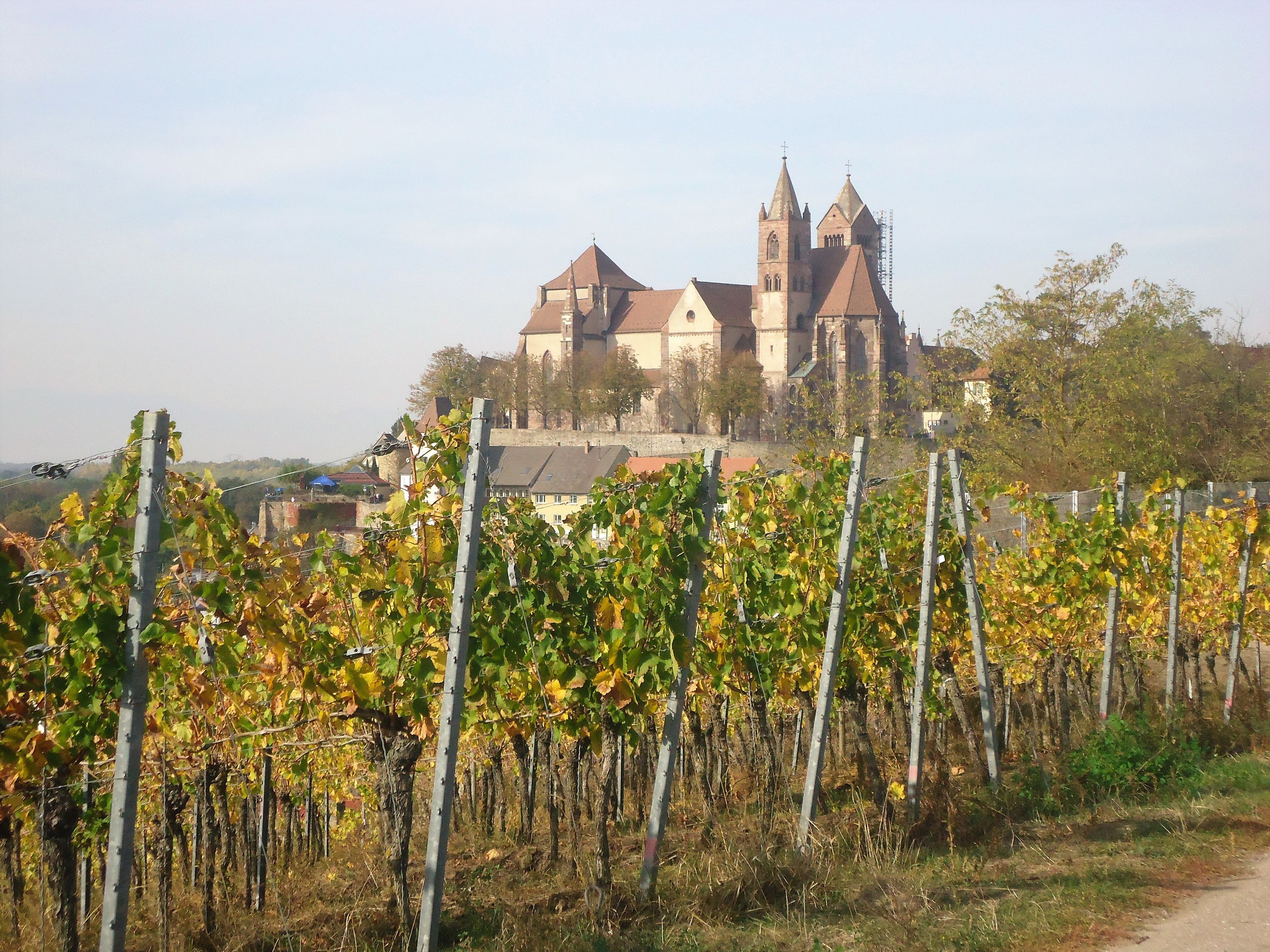 Breisach Am Rhine, Germany Image 1