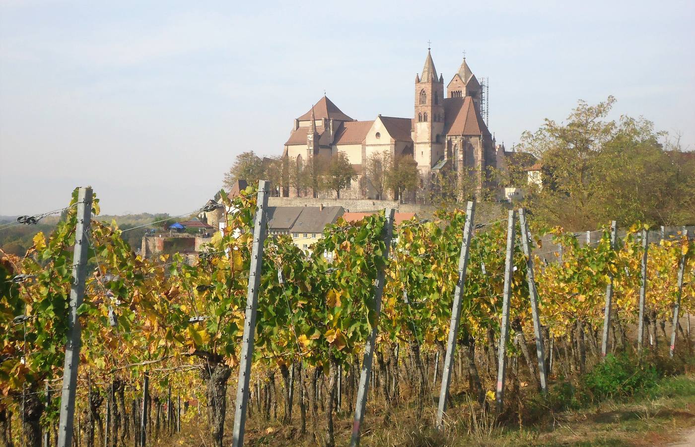 Breisach Am Rhine Cruise Port