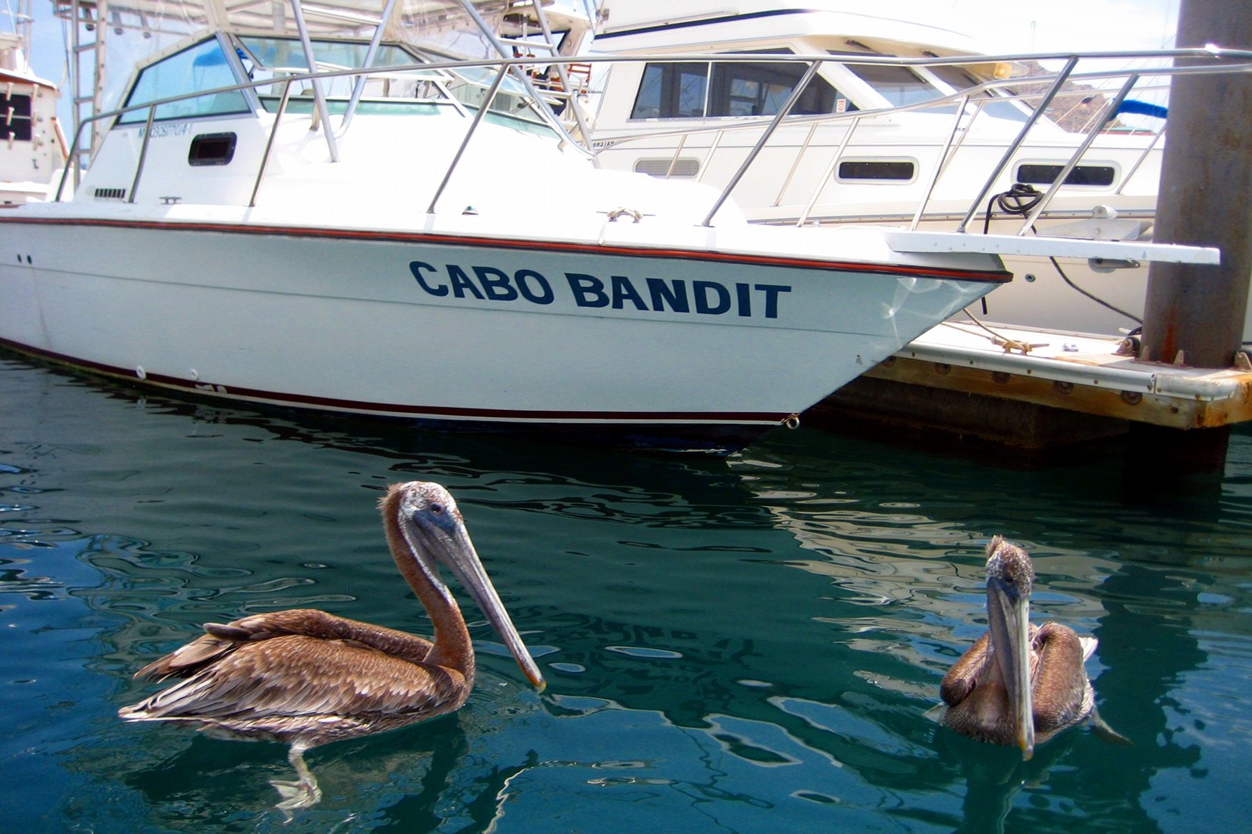 Cabo San Lucas, Mexico