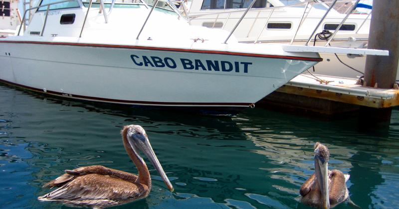 Cabo San Lucas, Mexico