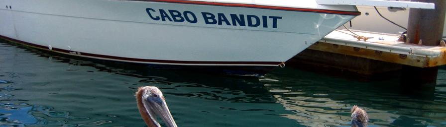 Cabo San Lucas, Mexico, Mexico