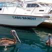 Cabo San Lucas