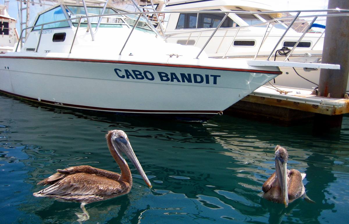 Cabo San Lucas, Mexico cruise port