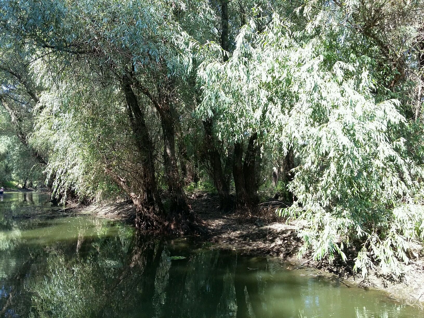 Constanta, Romania Cruise Port - overhead view of the Constanta itinerary stop located in the Europe - Eastern Europe cruising region