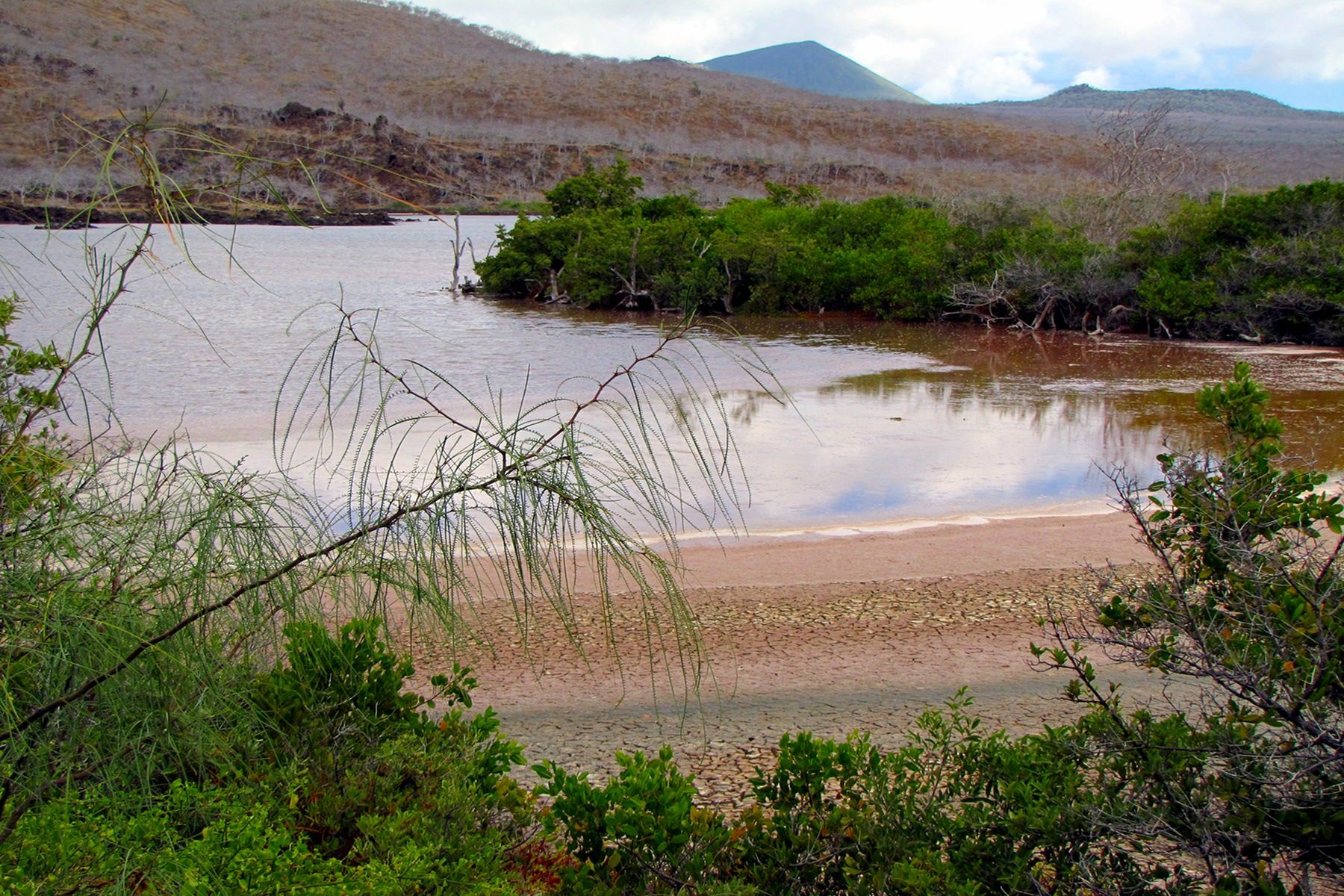 Cormorant Point, Floreana, Galapagos Image 1