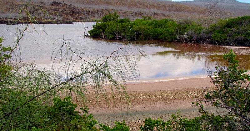 Cormorant Point, Floreana, Galapagos