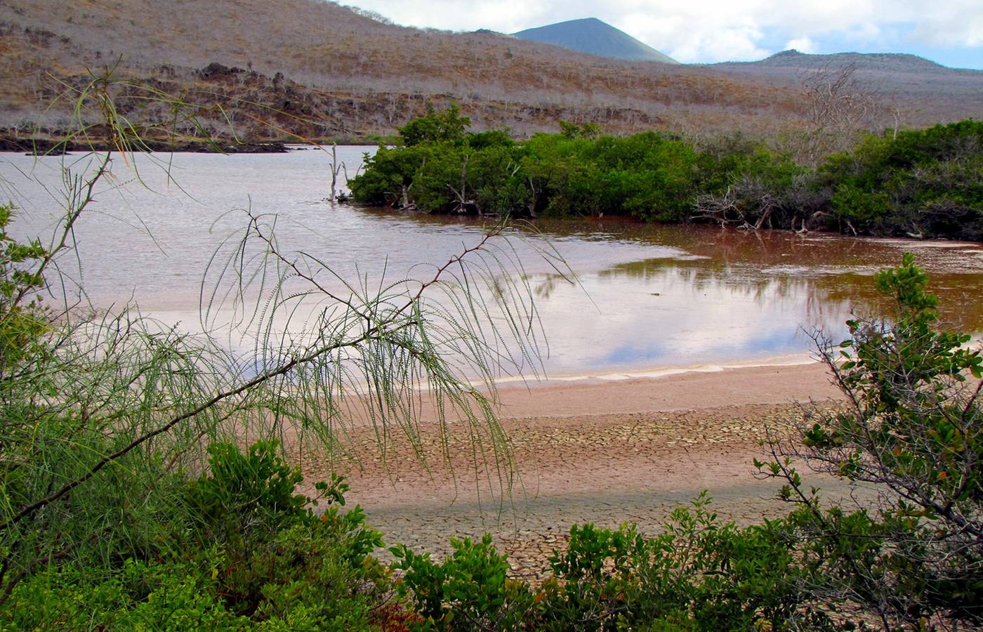 Cormorant Point Cruise Port