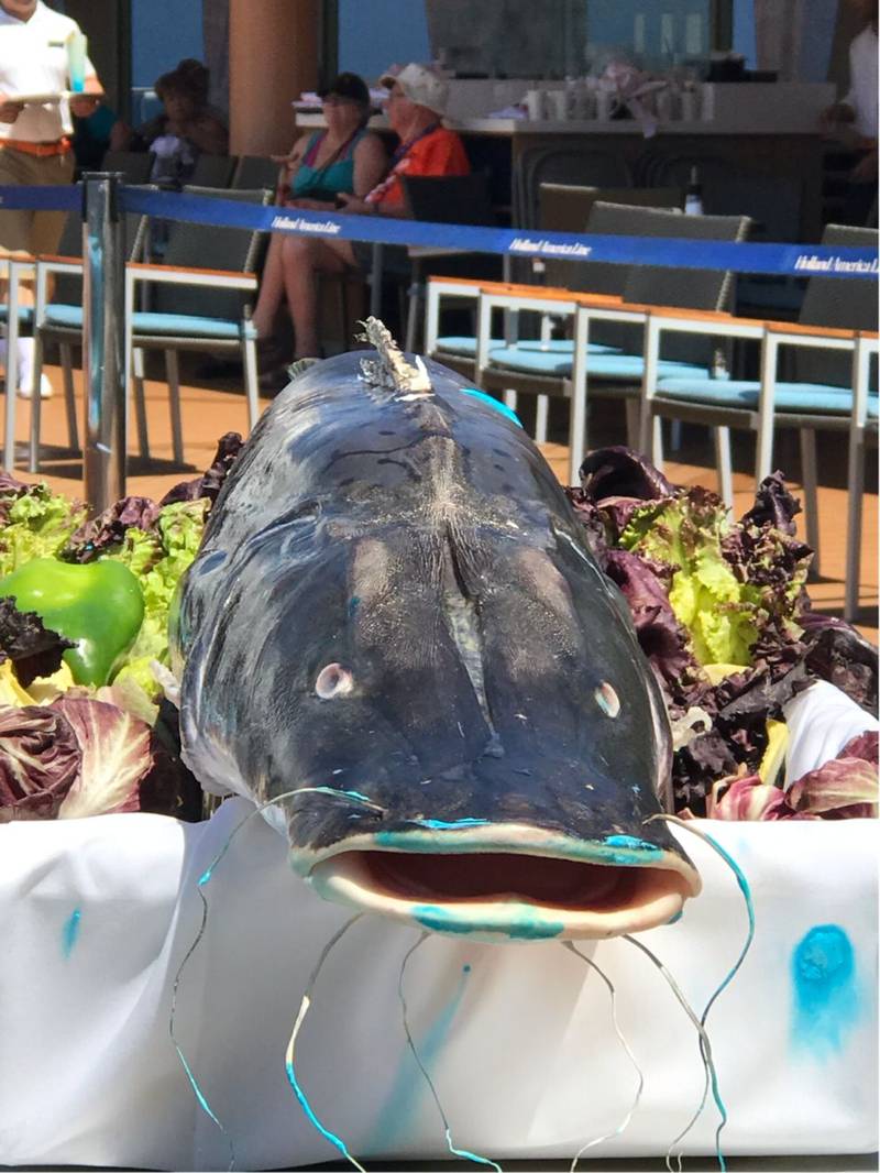 Cross The Equator Image 1