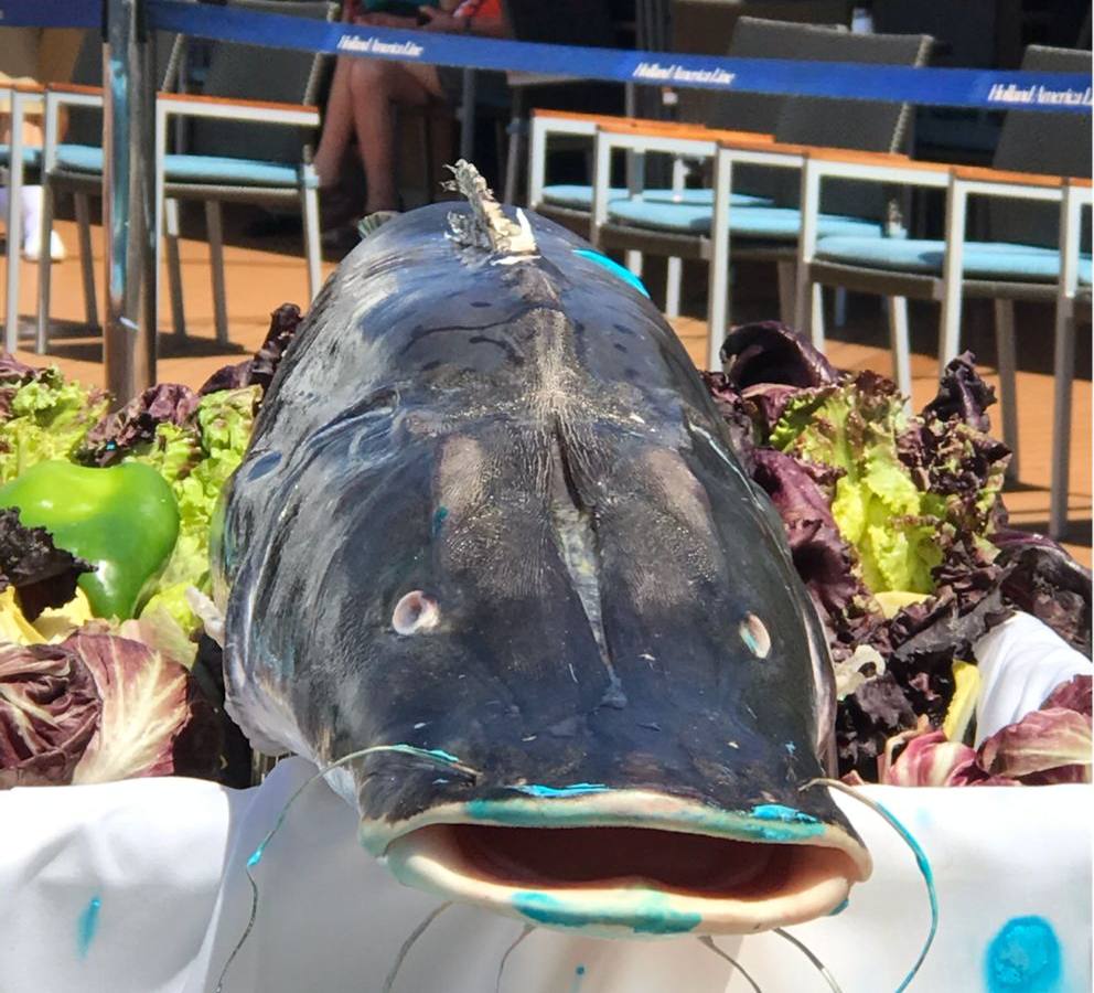 Cross The Equator Cruise Port