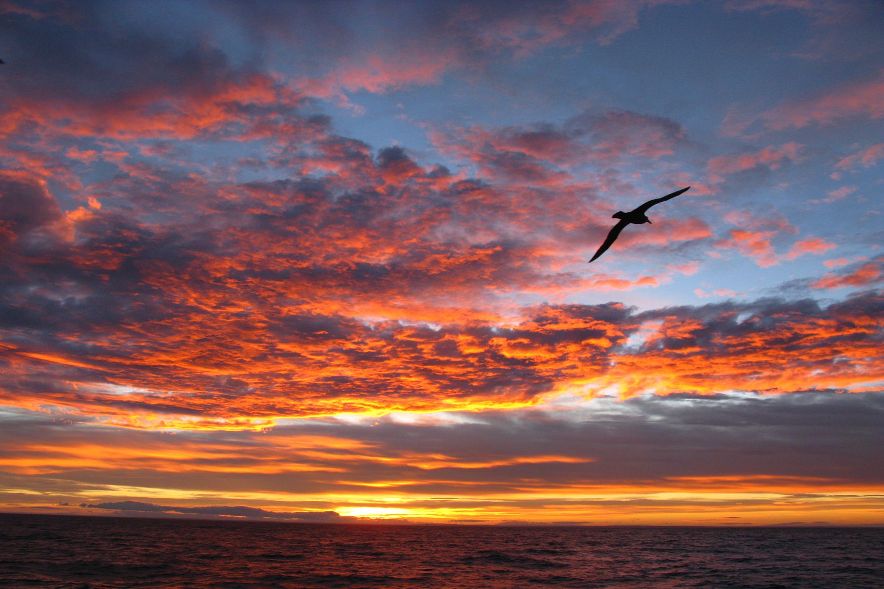 Cruise Cape Horn & Drake Passage Image 1