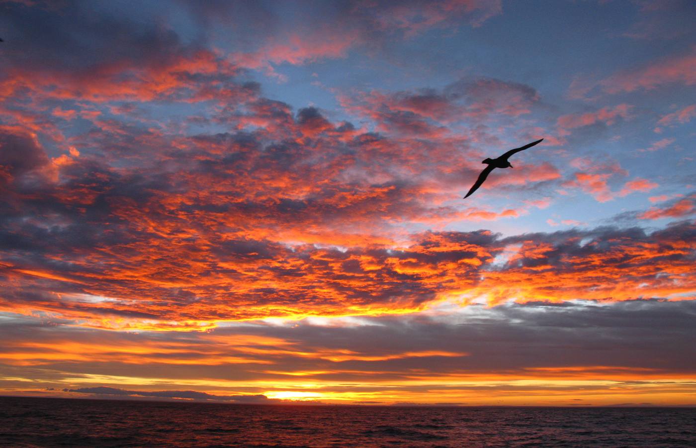 Cruise Cape Horn & Drake Passage Cruise Port