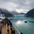 Cruise Endicott Arm & Dawes Glacier