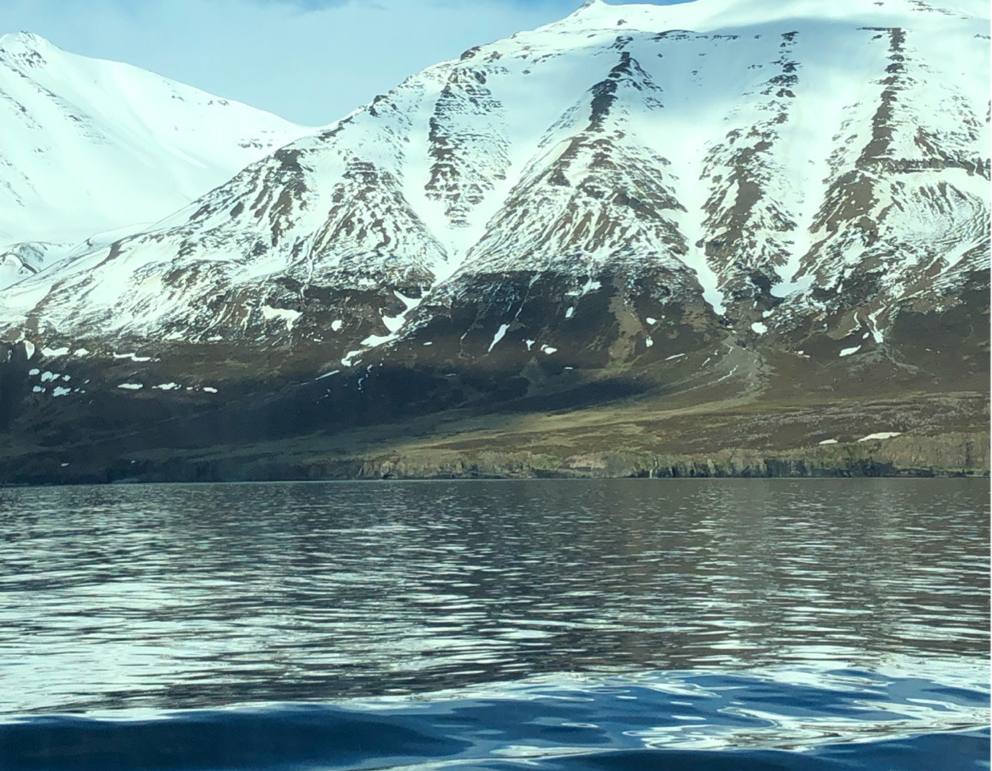 Cruise Eyjafjordur, Iceland cruise port