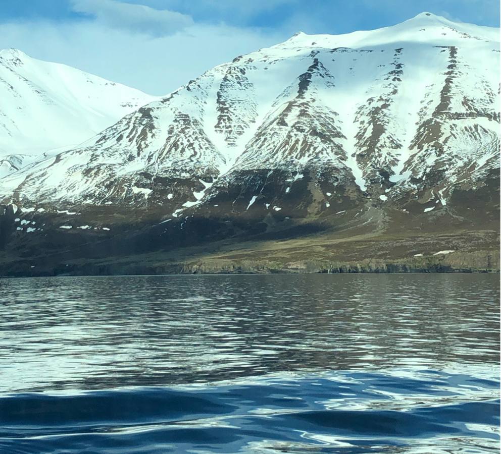 Cruise Eyjafjordur Cruise Port