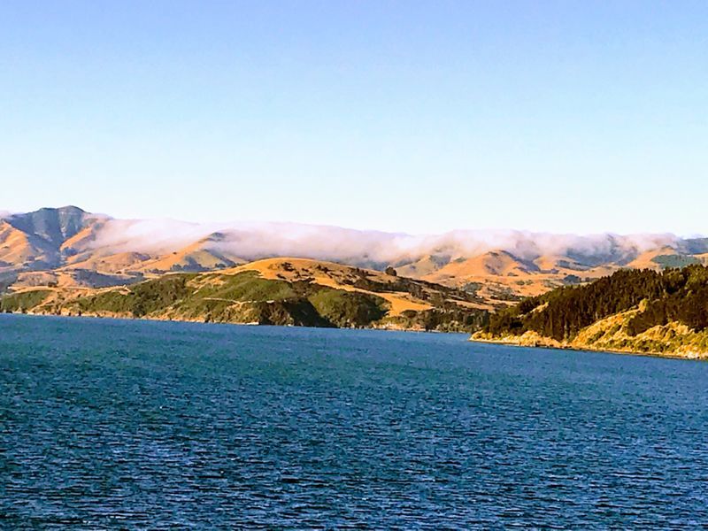 Cruise Fjordland National Park