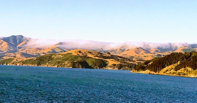 Cruise Fjordland National Park