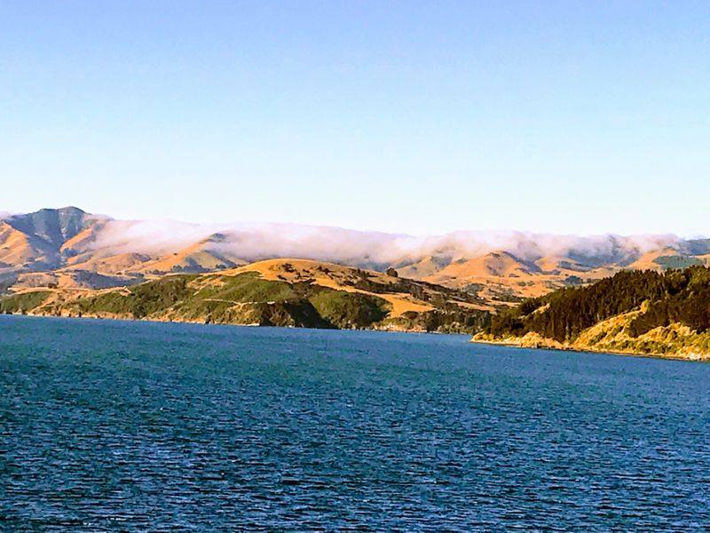 Cruise Fjordland National Park Cruise Port