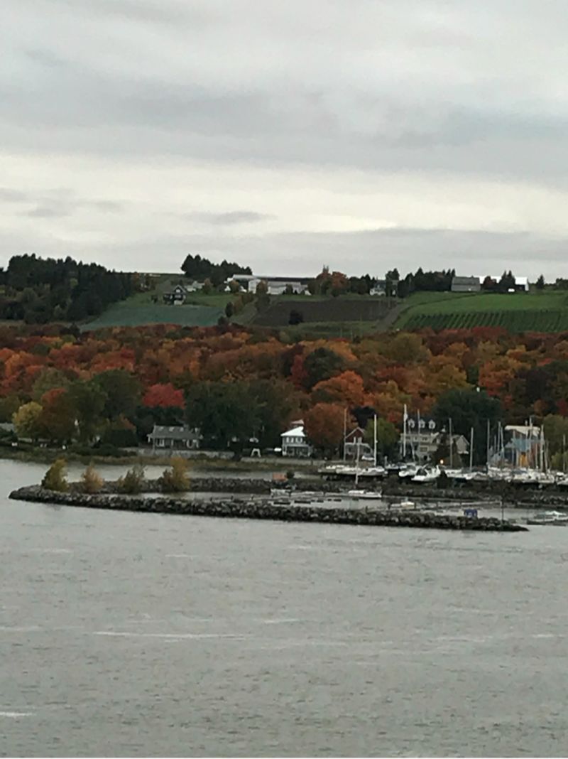 Cruise Gulf Of St. Lawrence
