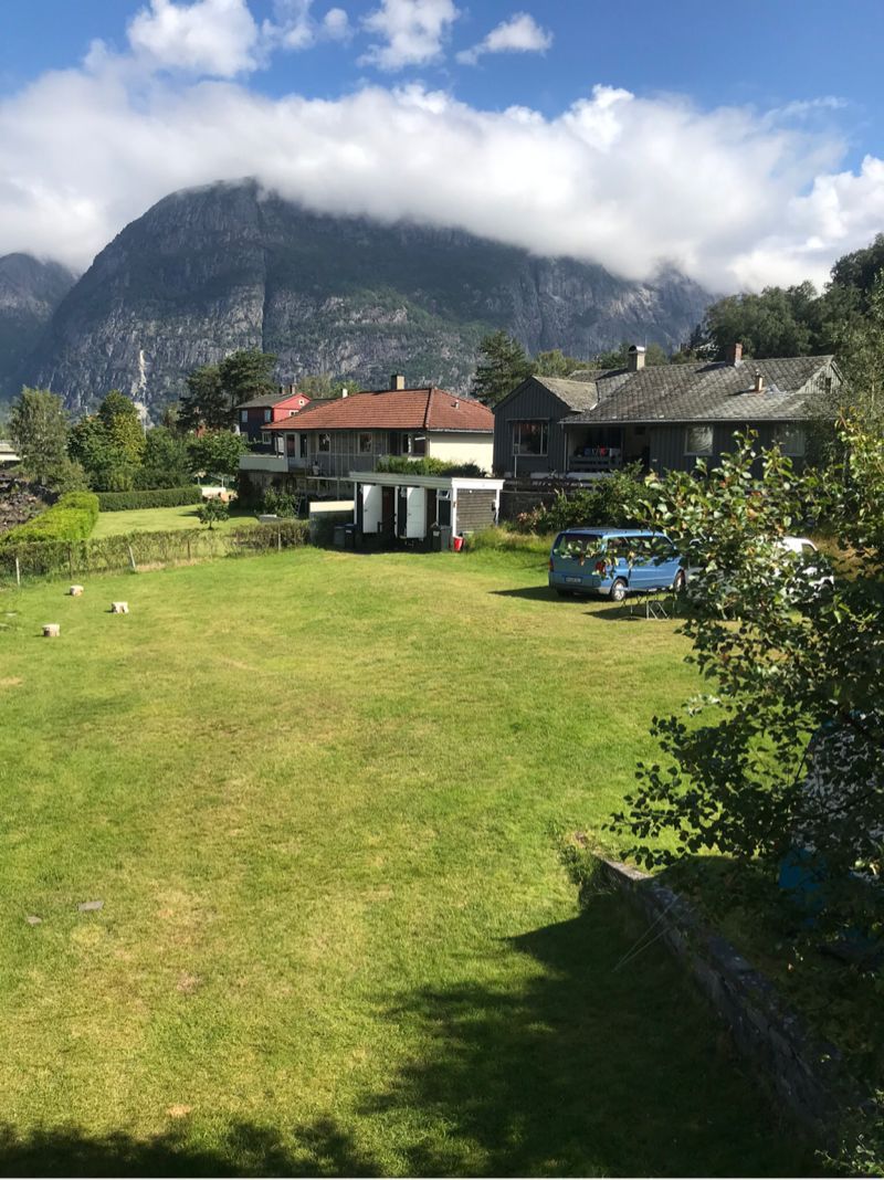 Cruise Hardangerfjord