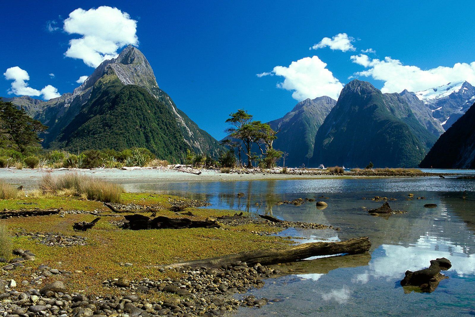 Cruise Milford Sound