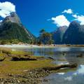 Cruise Milford Sound