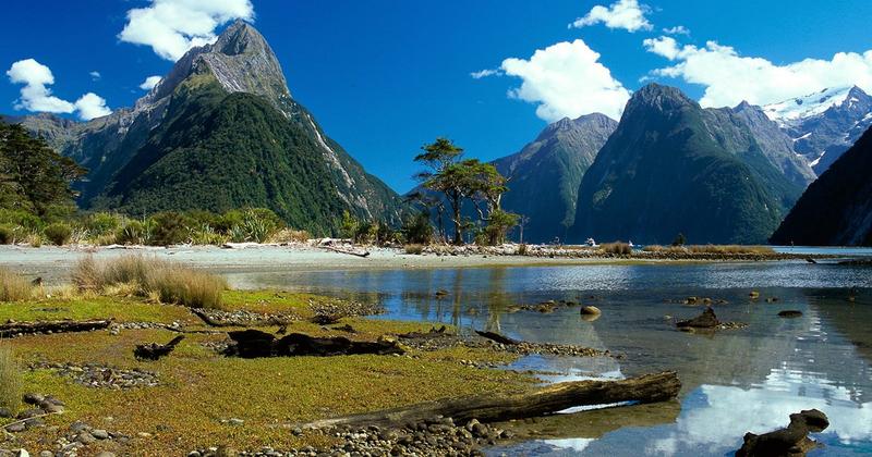 Cruise Milford Sound