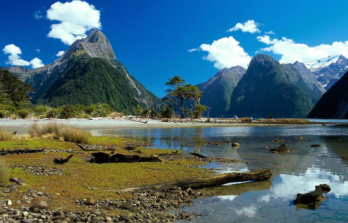 Cruise Milford Sound cruise port