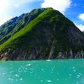 Cruise Tracy Arm Fjord, Alaska