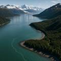 Cruise Yakutat Bay