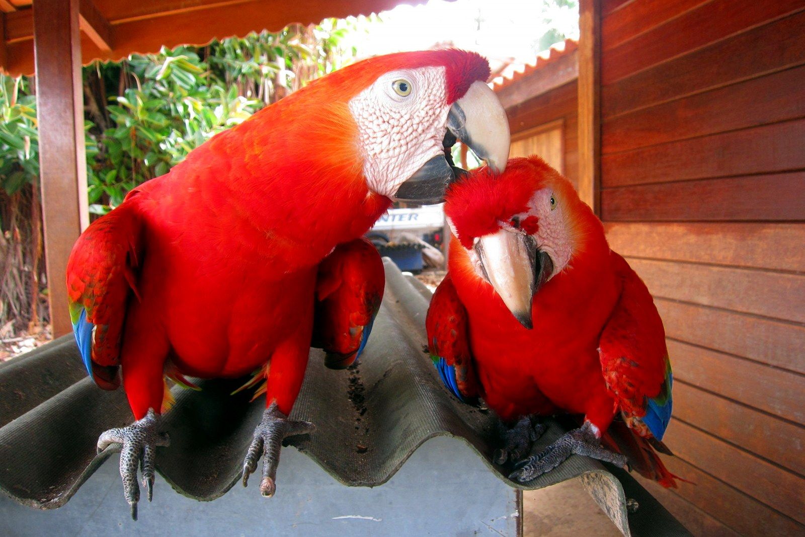 Devils  Island, French Guiana